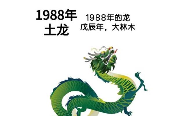 1976年生肖龙2025年运势_1976年属龙人2025年全年运势解析运程趋势全掌握