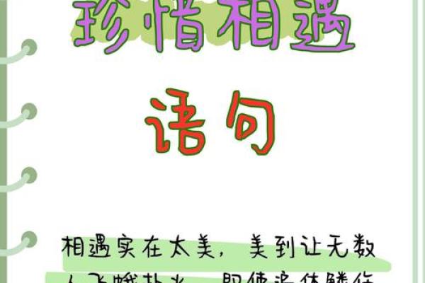 带缘分_带缘分的奇妙旅程探索命运与机遇的交汇点