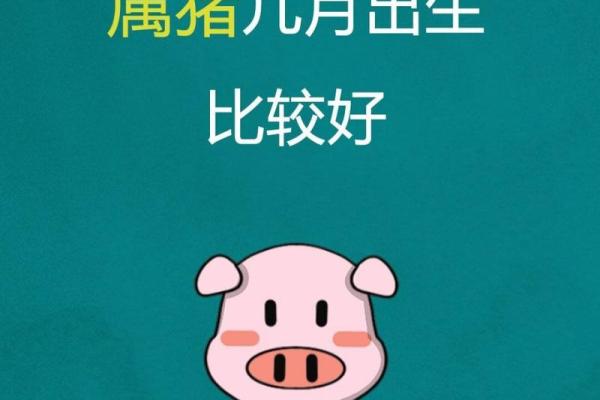 属猪几月生人命运最佳揭秘最佳出生月份