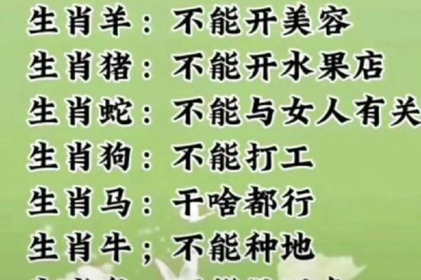 鸡和猪的孩子最好属什么_属鸡和属猪的生个属什么的宝宝好