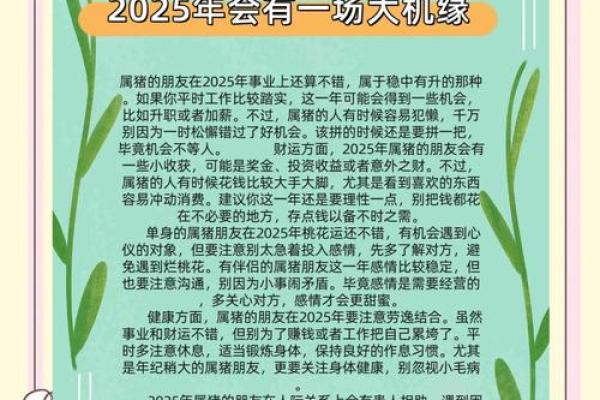 2025年2007年属猪的高考运气_2025年属猪高考运势解析2007年出生者运气如何
