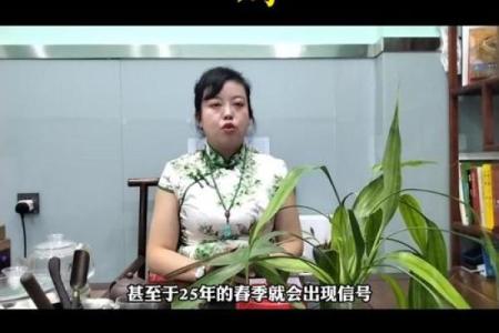 2025属鸡的今年多大 属鸡的年龄表