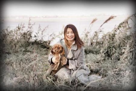 眼高手低打一动物生肖(眼高手低指什么生肖百度知道)