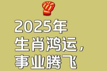 属猪2025年多大了_2025年属猪人年龄揭秘你今年多大了