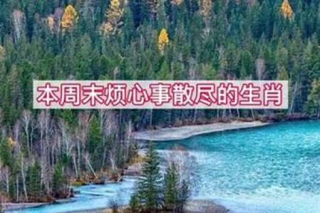 九霄云外打一个生肖(九霄云外打一生肖谜底)