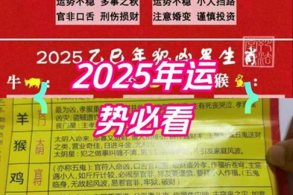 95年男猪2025年运势_95年属猪30岁有一劫
