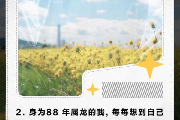 1988年属龙姻缘在哪年_1988年属龙姻缘在哪年发生