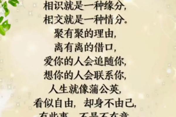 看缘分是什么意思 看缘分是什么意思揭秘缘分的深层含义与生活应用