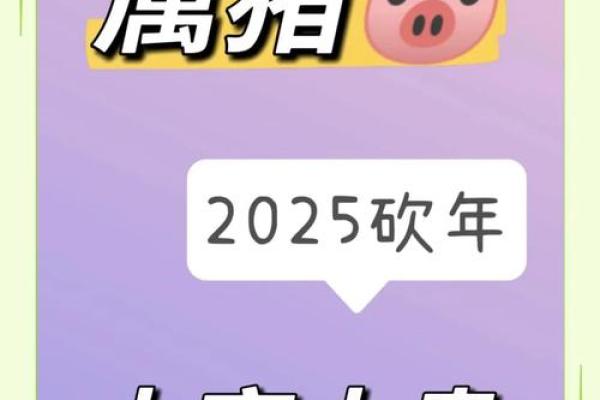 属猪人2025年每月运势完整版_属猪人2025年每月运势详解全年运势预测与建议