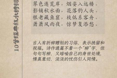 望穿秋水打一个生肖(望穿秋水是指什么生肖)