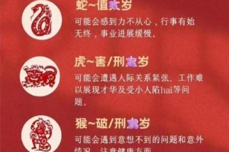 1971属猪2025年运势及运程详解 2025属猪三喜临门