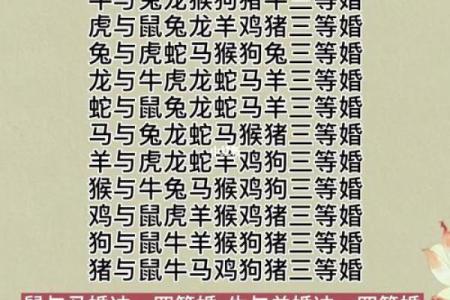 1978年属马的最佳配偶属相_1978年属马最佳配偶属相揭秘哪几个生肖最合适