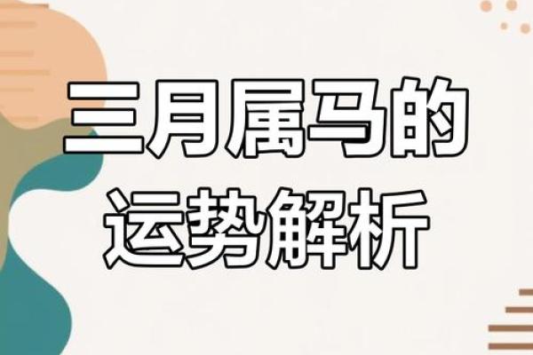2025年属马人运势及运程详解_2025年属马人运势详解全年运程精准预测与提运指南