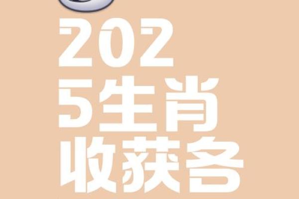 2025年属猪几岁 2025年属兔几岁