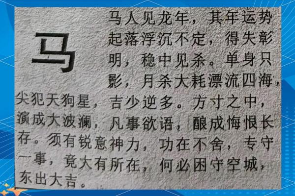 54年属马2025年运势解析吉凶预测与全年运程指南