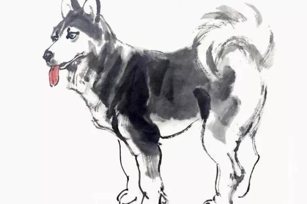 无头无尾是什么生肖(无头无尾是什么生肖一句猜像东像西) 无头无尾是什么生肖(无头无尾是什么生肖一句猜像东像西)