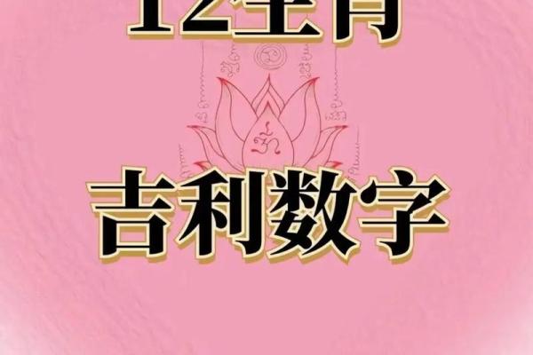 黄花女儿是什么生肖(黄花女儿是什么生肖数字)