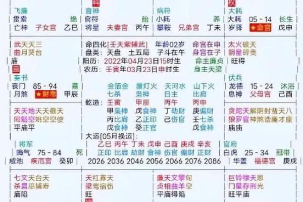 2025年4月3日寅时女命紫微斗数全解盘 2025年4月3日寅时女命紫微斗数全解盘