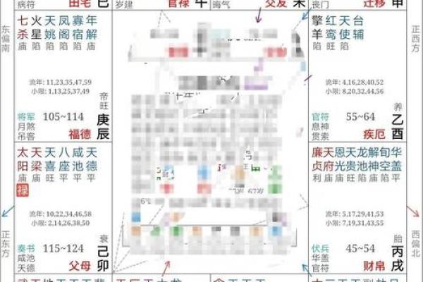 2025年4月3日卯时男命紫微斗数全解盘
