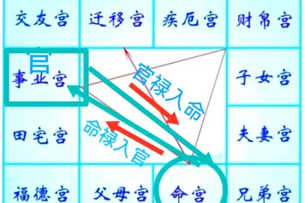 2025年4月6日子时女命紫微斗数全解盘