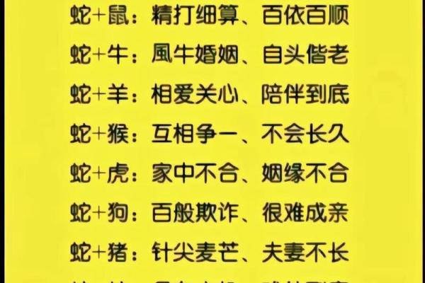 2002年2月9日属马还是蛇_2002年2月9日出生属什么命