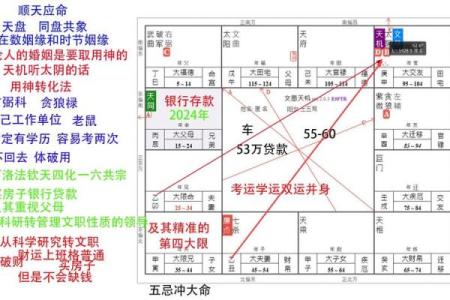 2025年4月6日巳时男命紫微斗数全解盘