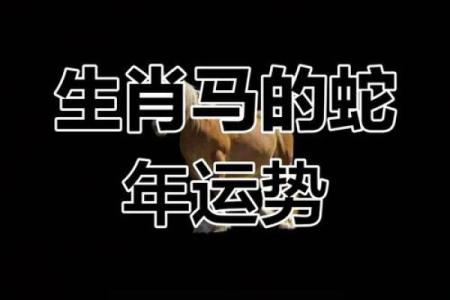 1990年属马2025年的运势 1990年属马2025年运势解析事业财运与吉凶全解