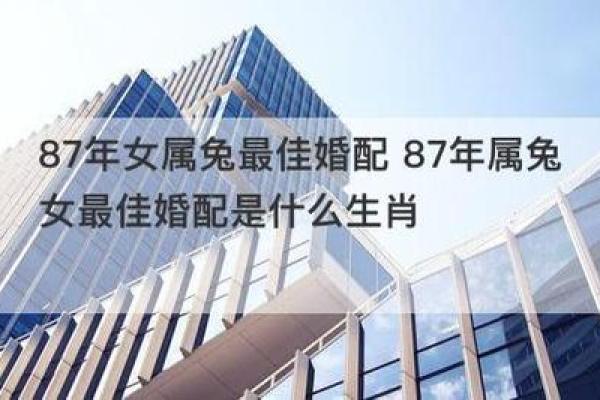 兔跟鸡属相婚配如何 兔鸡属相婚配解析缘分天定还是性格不合