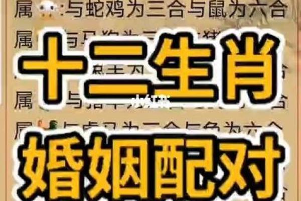 生辰八字配对免费 免费生辰八字配对揭秘最佳姻缘组合