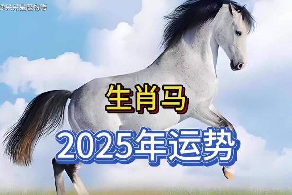 90年马2025年属马人全年运势 1990年属马今天的运势