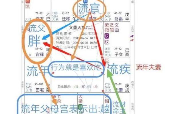2025年4月2日午时男命紫微斗数全解盘