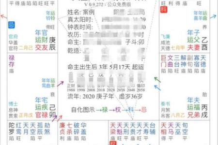 2025年4月5日寅时男命紫微斗数全解盘
