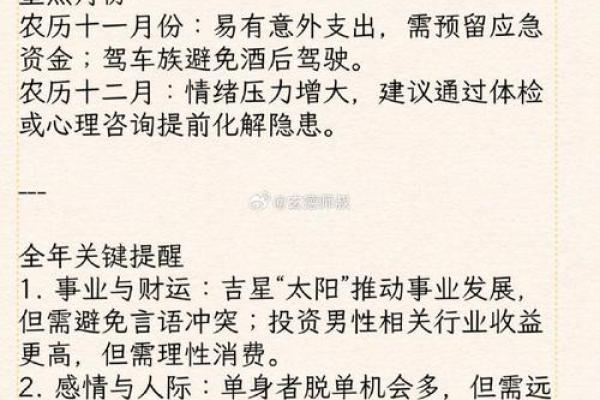 属马运势2025 2025年属马人运势解析财运事业健康全指南