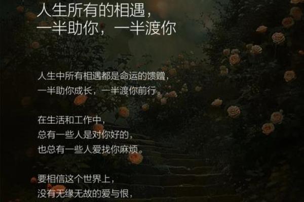 一定是特别的缘分才可以一路走来 一定是特别的缘分才能一路走来