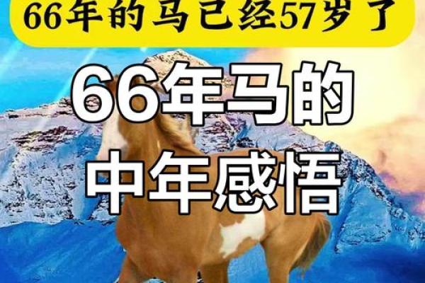 属马人1966年出生命运 66年属马59岁有一灾