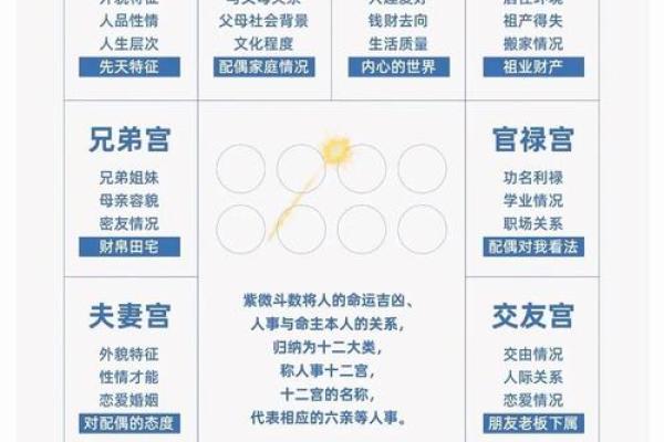 2025年4月9日卯时女命紫微斗数全解盘