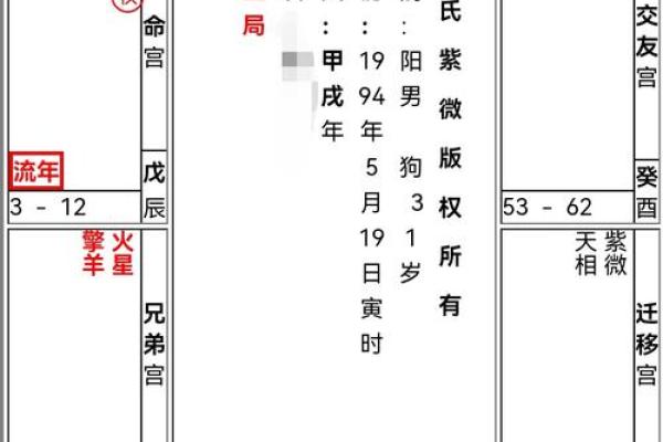 2025年4月9日巳时男命紫微斗数全解盘