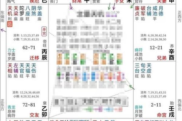 2025年4月9日子时男命紫微斗数全解盘 2025年4月9日子时男命紫微斗数全解盘