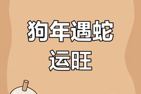 2006年属狗男2025年运势详解运程走向与关键转折点