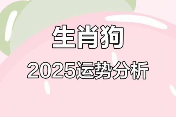 2025属狗人的全年运势_2025属狗人的全年运势1982出生