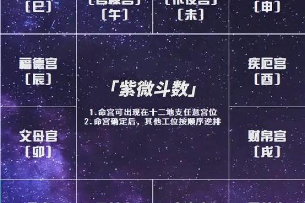 2025年4月3日午时女命紫微斗数全解盘 2025年4月3日午时女命紫微斗数全解盘