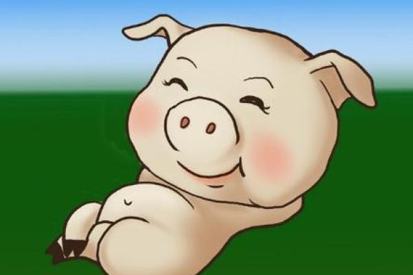 2025年属猪的幸运数字_2025年属猪幸运数字揭秘财运亨通的关键数字