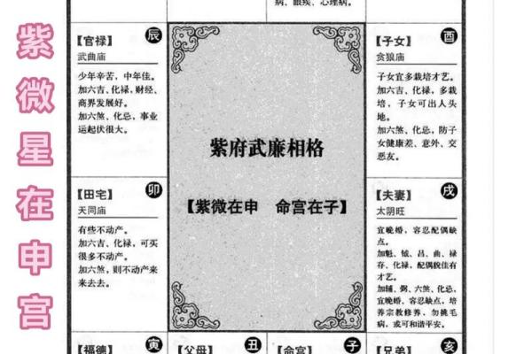 2025年4月8日申时男命紫微斗数全解盘 2025年4月8日申时男命紫微斗数全解盘