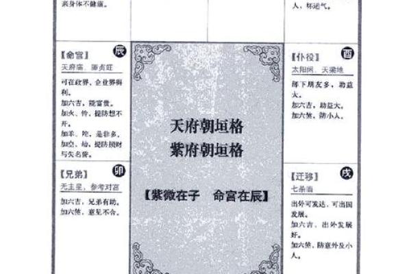 2025年4月8日申时男命紫微斗数全解盘 2025年4月8日申时男命紫微斗数全解盘