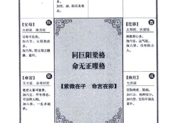 2025年4月5日子时男命紫微斗数全解盘 2025年4月5日子时男命紫微斗数全解盘