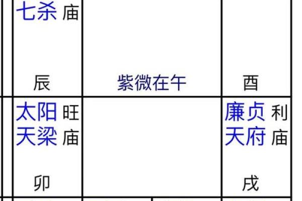 2025年4月8日子时女命紫微斗数全解盘 2025年4月8日子时女命紫微斗数全解盘