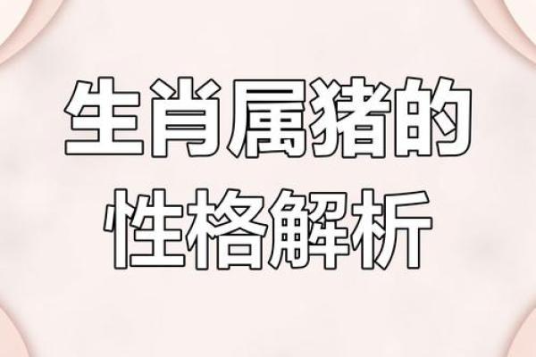 2007年属猪女孩一生命运_2007属猪女人一生的命运婚姻
