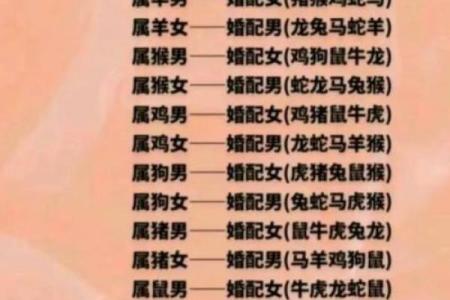 95属猪女正缘在哪一年_95属猪男正缘在哪一年