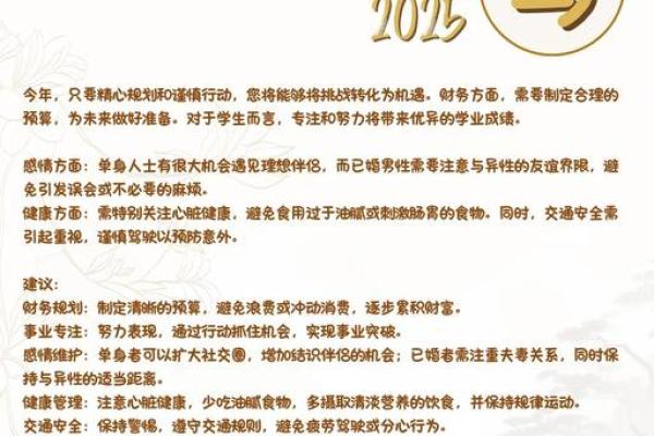1978年马在2025年运势_1978年属马人2025年运势全解析运程关键与机遇预测