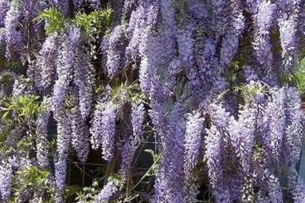 旺财风水小秘诀，看到就是赚到